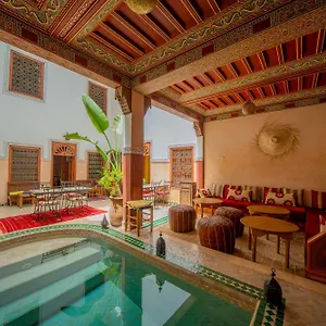 Euphorbe Marrakesh